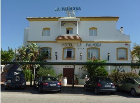 palmosa