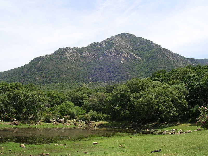laja